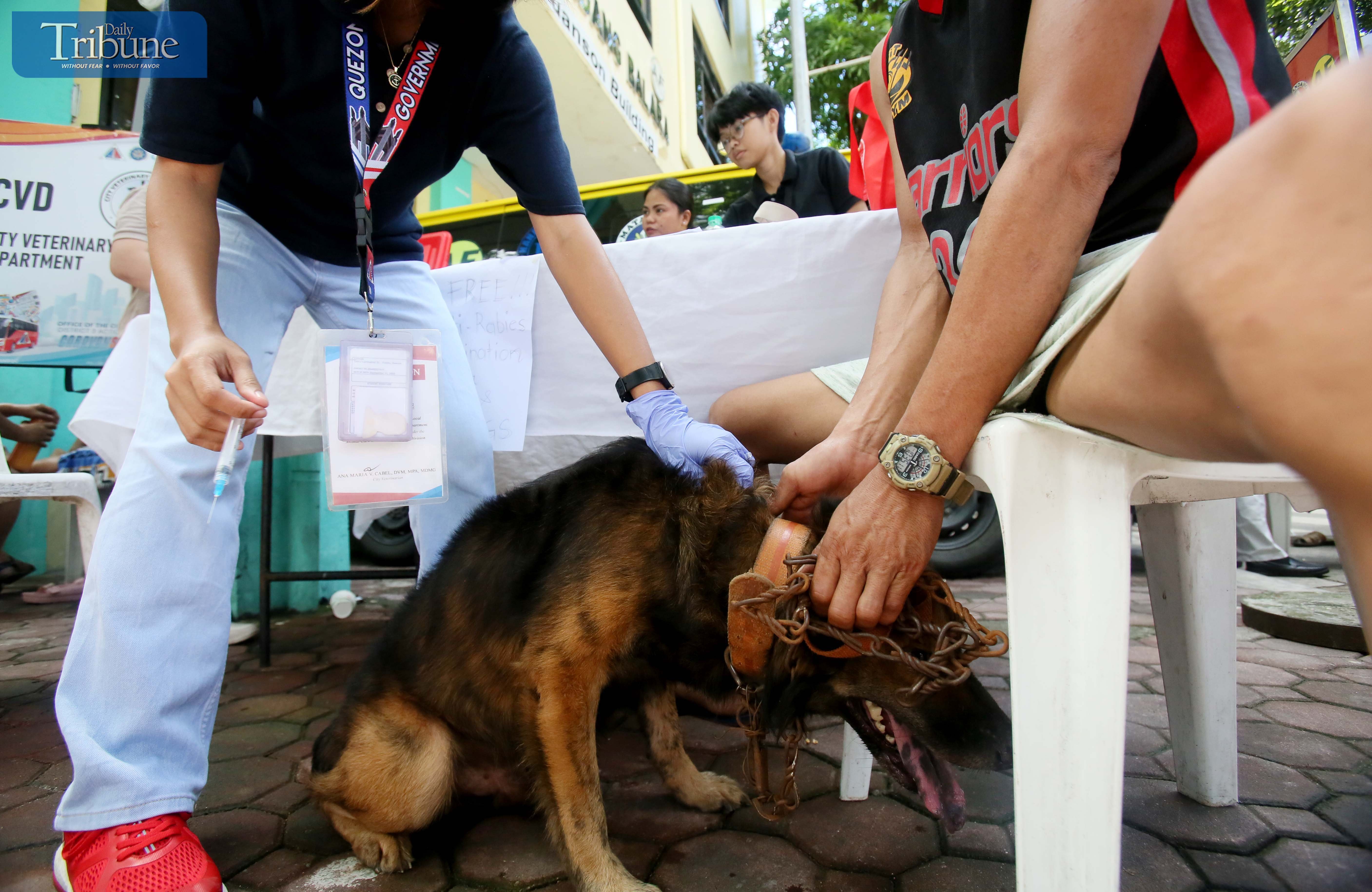 ANTI-RABIES DRIVE IN QC 